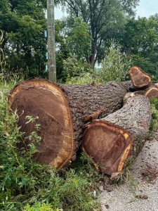 Mid State Tree Services - Waupaca County, WI