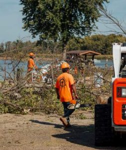 Mid State Tree Service - Storm Clean Up, Northeast WI