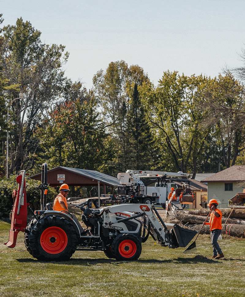 Tree Services in New London, WI - Mid State Tree Services
