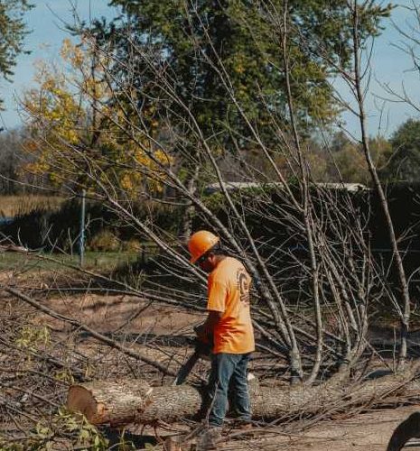 Emergency Tree Service - Mid State Tree Service - New London, WI