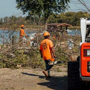 Mid State Tree Service - Storm Clean Up, Northeast WI