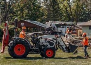 Mid State Tree Service, Tree Clean Up, Wisconsin