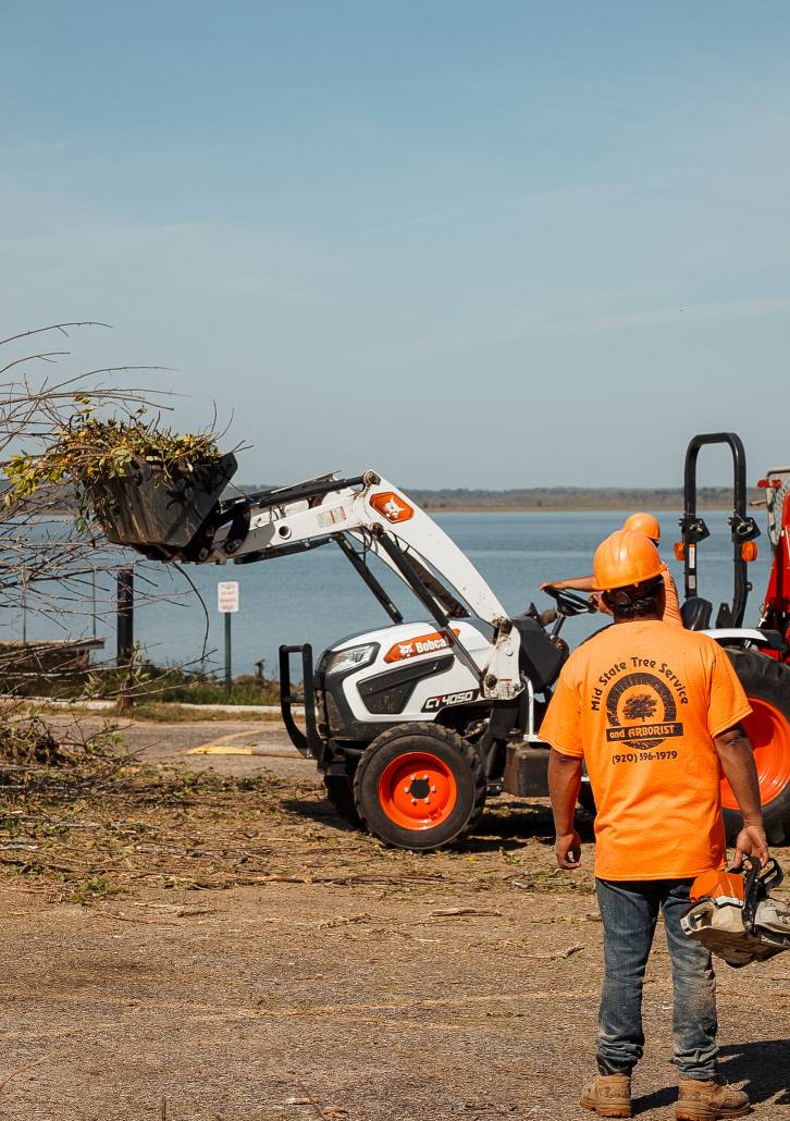 New London Tree Removal, Mid State Tree Service