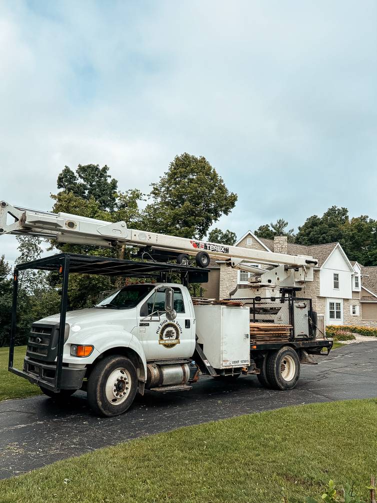 Tree Services offered in New London, WI