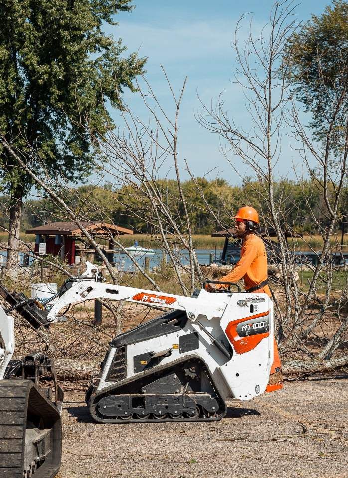 Waupaca Tree Service, Mid State Tree Service & Arborist