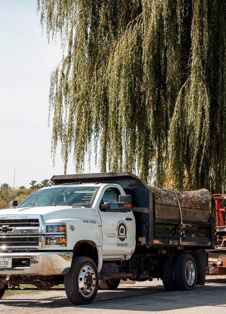 Weyauwega Tree Removal Services, Mid State Tree Service & Arborist